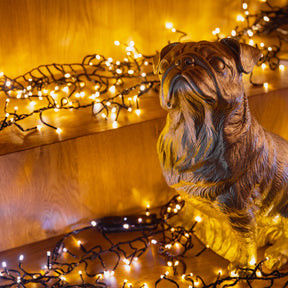 Dải đèn LED có thể thay đổi với ống kính cong rõ ràng 240V có thể tắt hơn 30000 giờ