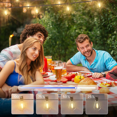 110V/220V Output Voltage Outdoor Lights Waterproof IP44 for Outdoor Installation Type