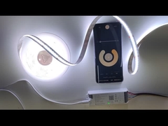 RoHS chứng nhận đèn LED dải loạt trong 6,5FT chiều dài với màu trắng ấm áp