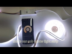 Ánh sáng dải COB