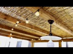 Đèn LED năng lượng mặt trời ST38