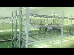 Thời gian sản xuất đến khi lão hóa