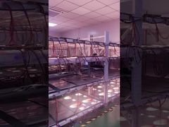 Hoạt động của màn hình trong suốt